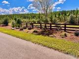 Lot 65 Naturewalk Dr - Photo 8