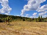 Lot 67 Naturewalk Dr - Photo 10