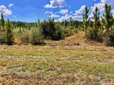 Lot 67 Naturewalk Dr - Photo 17
