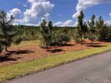 Lot 67 Naturewalk Dr - Photo 20