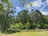 0 Horace Odom Rd - Photo 10