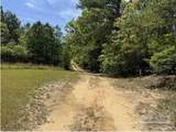 0 Horace Odom Rd - Photo 11