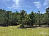 0 Horace Odom Rd - Photo 12