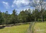 0 Horace Odom Rd - Photo 13