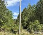 0 Horace Odom Rd - Photo 7