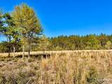 Lot 14-SW Bashi Rd - Photo 14