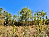 Lot 14-SW Bashi Rd - Photo 19