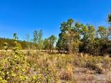 Lot 14-SW Bashi Rd - Photo 23