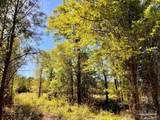 Lot 14-SW Bashi Rd - Photo 26