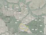 Lot 14-SW Bashi Rd - Photo 3
