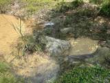 Lot 4 Bullard Rd - Photo 4