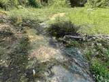 Lot 4 Bullard Rd - Photo 5