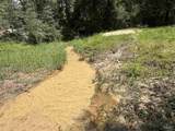 Lot 4 Bullard Rd - Photo 6