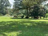 Lot 4 Bullard Rd - Photo 8