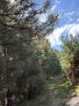 Lot B Beaver Creek Rd - Photo 2
