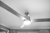 1814 Toni St - Photo 11
