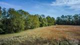 296 Salters Lake Rd - Photo 13