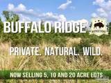 Lot 17 BS Buffalo Ridge Rd - Photo 9