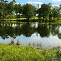 9023 County Rd 34 - Photo 32