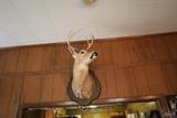 9023 County Rd 34 - Photo 6