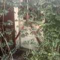 6305 Jackson St - Photo 6