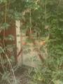 6305 Jackson St - Photo 7