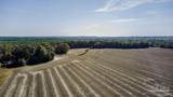 7 Segrest Rd - Photo 8