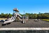 3467 Crossvine Rd - Photo 37