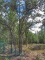 Parcel B-2 Wildlife Rd - Photo 3