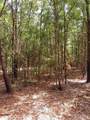 Parcel C-2 Wildlife Rd - Photo 1