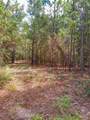 Parcel C-2 Wildlife Rd - Photo 3