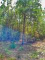 Parcel C-2 Wildlife Rd - Photo 4