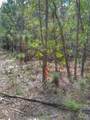Parcel C-2 Wildlife Rd - Photo 5