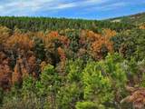 0 County Rd 79 - Photo 25