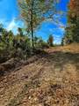 0 County Rd 79 - Photo 36