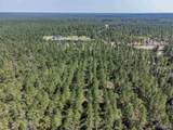 002 Sage Forest Ln - Photo 2