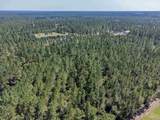 002 Sage Forest Ln - Photo 3