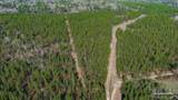 0 Mustard Seed Ln - Photo 11