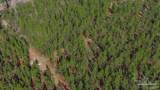 0 Mustard Seed Ln - Photo 17