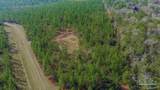 0 Mustard Seed Ln - Photo 3