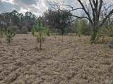 29640 Us Hwy 98 - Photo 16
