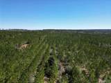 1 Robinsonville Rd - Photo 14
