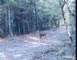 9499 Cornfield Way - Photo 4