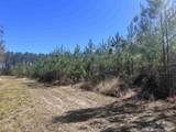 00 Robinsonville Rd - Photo 19