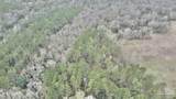 3000 Block Pine Barren Rd - Photo 12