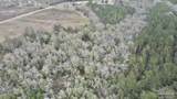 3000 Block Pine Barren Rd - Photo 13