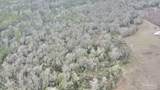 3000 Block Pine Barren Rd - Photo 14