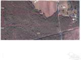 3000 Block Pine Barren Rd - Photo 22