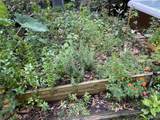 5921 Count Rd - Photo 43