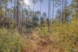 00 Petersen Pt Rd - Photo 3